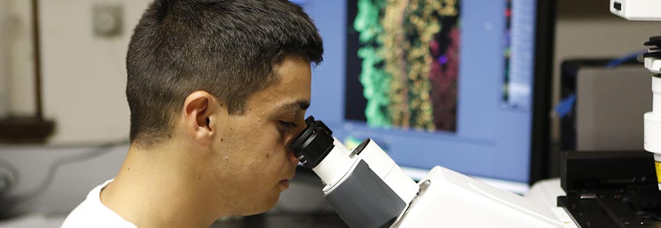 Providence College students and professors working on summer research projects at the Marine Biological Laboratory in Woods Hole, Mass. Biology