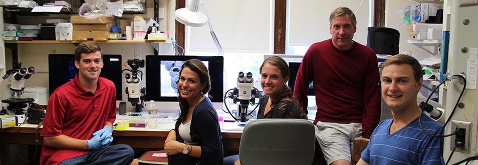 Marine Biological Laboratory at Woods Hole. Dr. Joseph A. DeGiorgis biology student research lab laboratory Alzheimer's Sean Moran '15 Juliana Granato '15 Erin O'Donnell '15 DeGiorgis James Stevenson '14