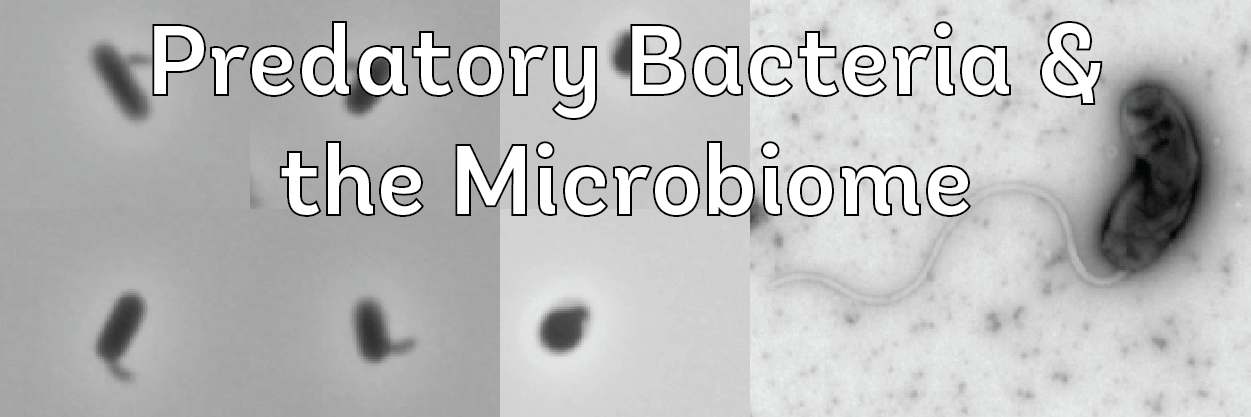 Image for Williams Lab