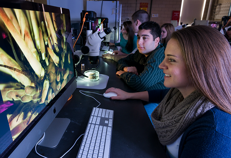 students on computer with microscope image