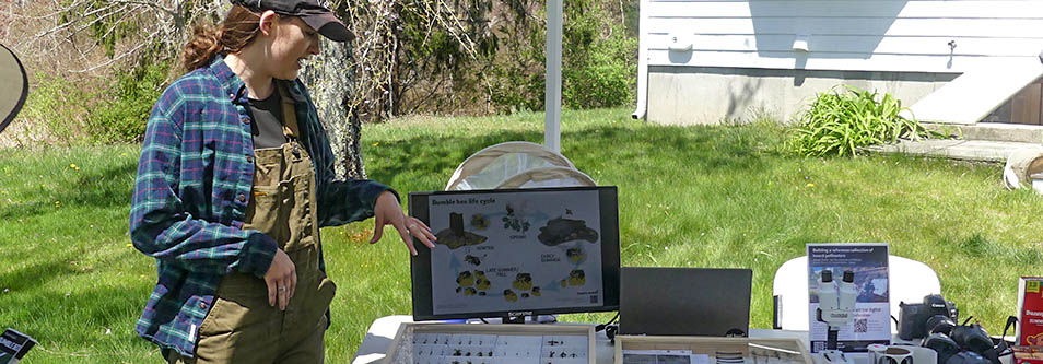 student presenting on importance of bees