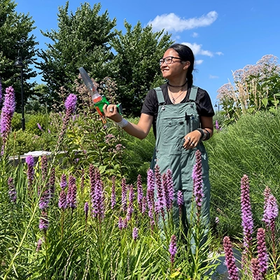 Bonoan Lab in garden